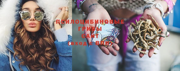 герыч Алексин