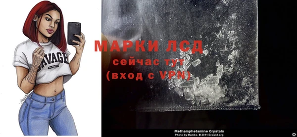 мяу мяу мука Михайлов