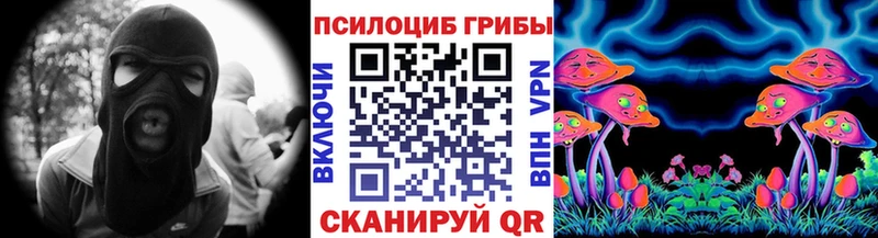 дарк нет какой сайт  Шадринск  Галлюциногенные грибы Magic Shrooms 