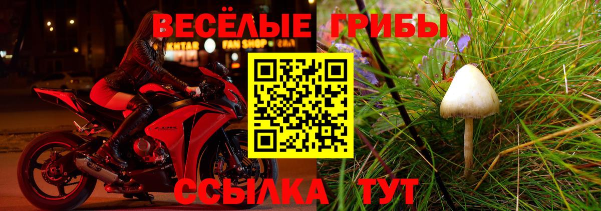 Псилоцибиновые грибы мицелий  Вход с VPN  Шадринск  купить  сайты  Псилоцибиновые грибы Psilocybe 